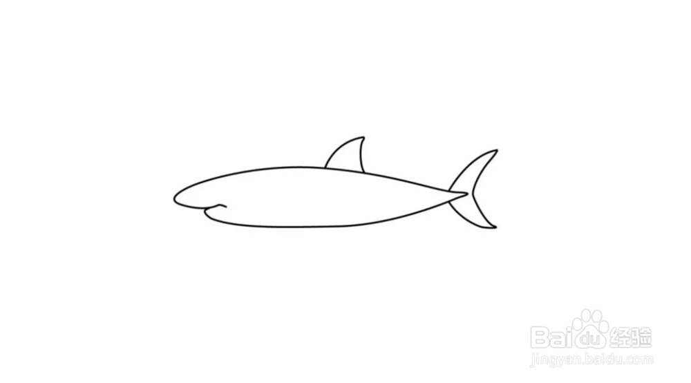鲸鱼简笔画教程