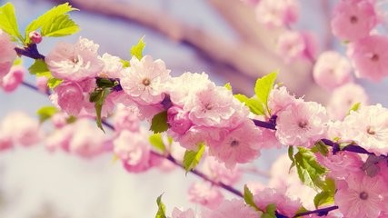 怎么才能有健康的生活习惯