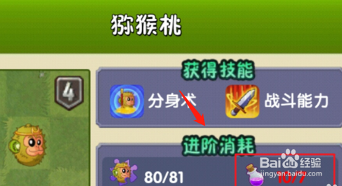 5阶培养液怎么刷