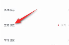 有道云笔记更换主题的方法