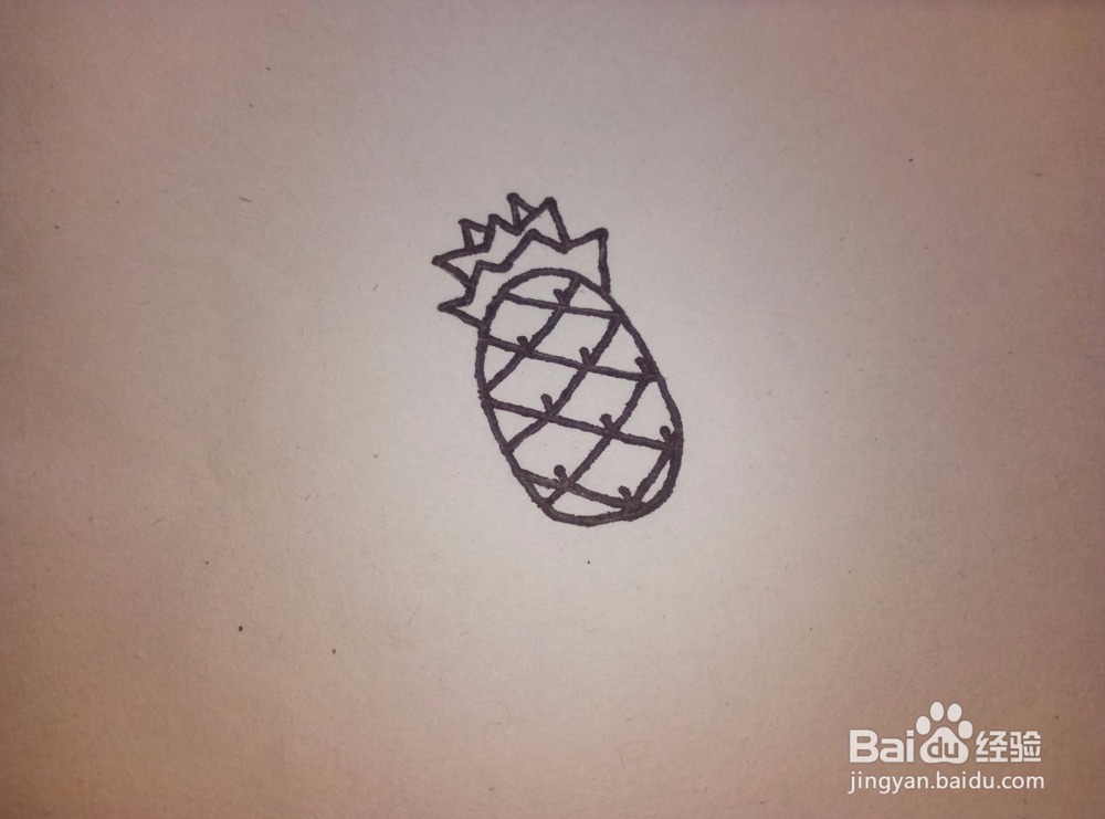 简笔画之——菠萝