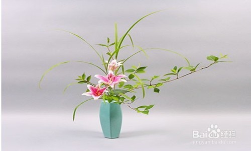 学生怎么使用小组学习的方法