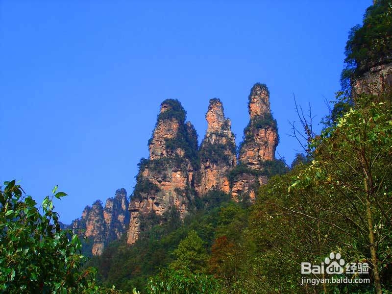 襄樊到张家界自驾游