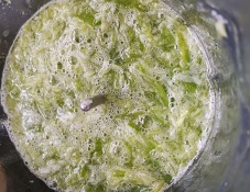 生酮多汁汉堡肉饼