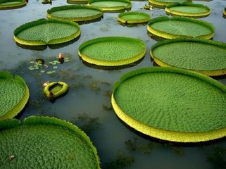 最强知识,养生之道