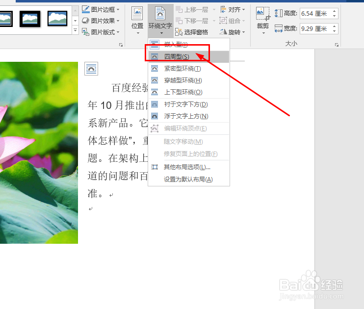 Word中如何设置图片排版样式