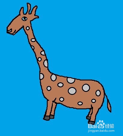 儿童简笔画:如何一步一步画一头长颈鹿