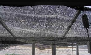 遮阳网覆盖技术在夏季蔬菜花卉生产上的应用