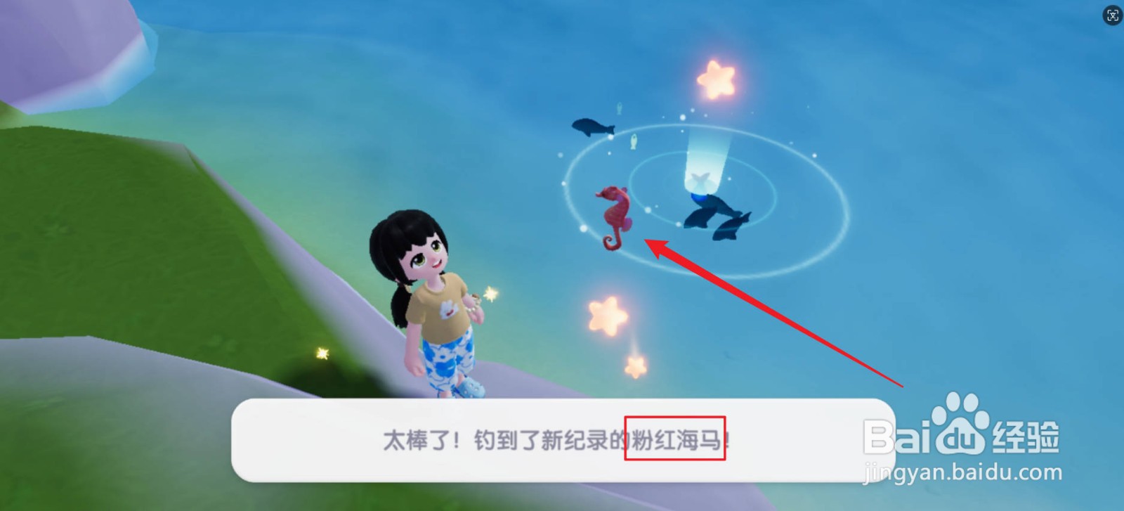 心动小镇粉红海马怎么钓