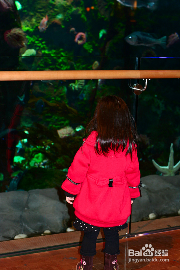 温哥华机场启航去旅行（组图）