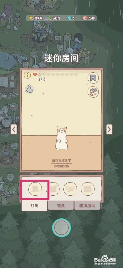 猫咪和汤怎样给猫咪戴向日葵