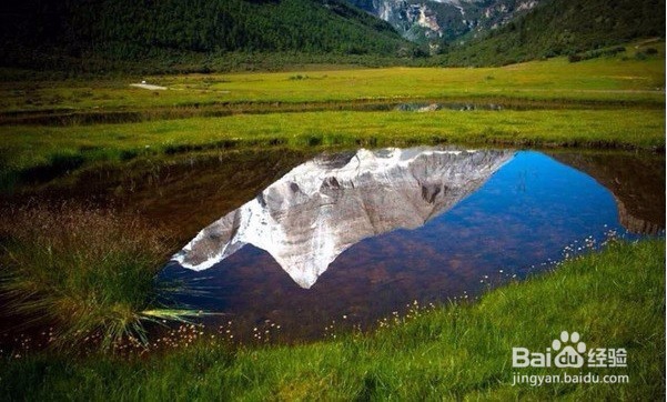 桃花灼灼，神仙妹子最爱去的地方