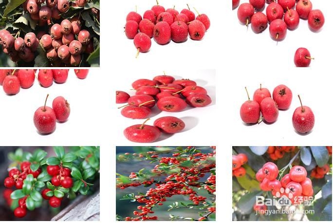 春夏季8种蔬果清润排毒 乌梅 黑葡萄 黑加仑