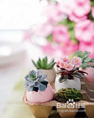 孕妇脸部过敏怎么办?