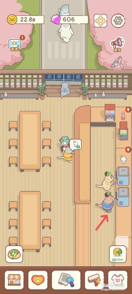 猫咪零食吧如何雇佣一名从进修班毕业的猫咪员工