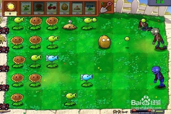 植物大战僵尸通全关的攻略。（七）
