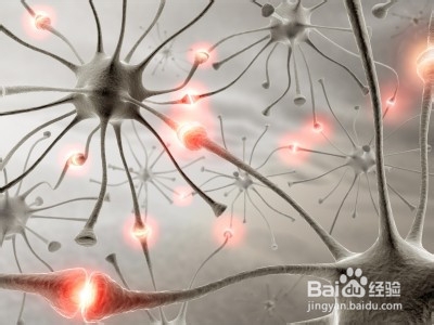 数字化神经元调控修复体系