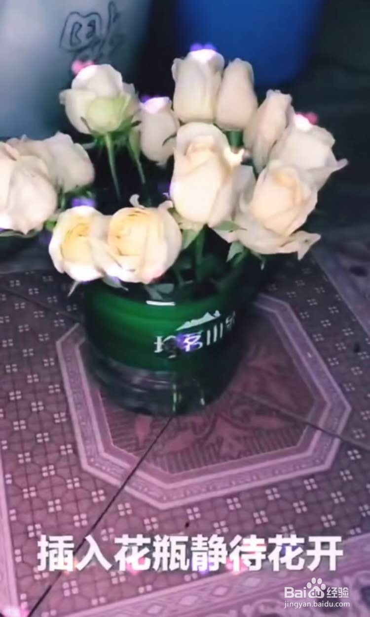 鲜切花醒花步骤