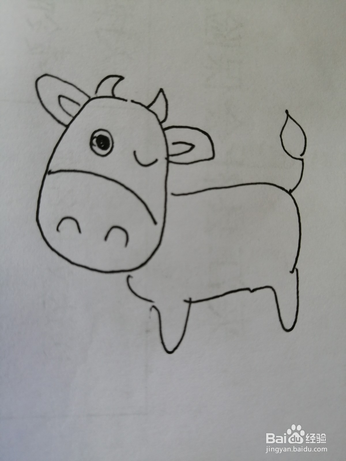 <b>可爱的小奶牛怎么画</b>