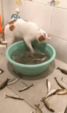 异度之刃2 稀有异刃重音获取方法介绍