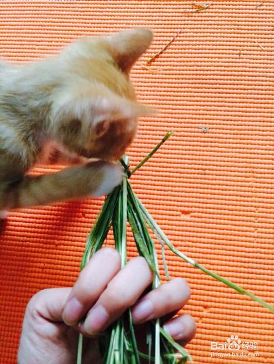 编织草窝教程
