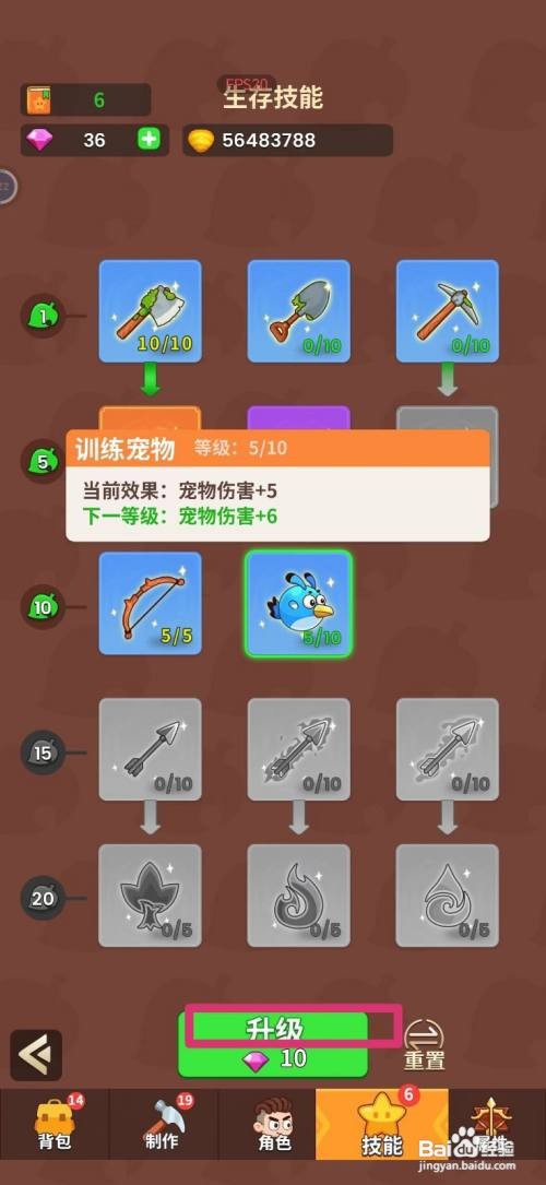 史小坑的花前月下怎么升级宠物