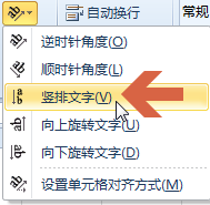 excel2010如何竖排输入文字