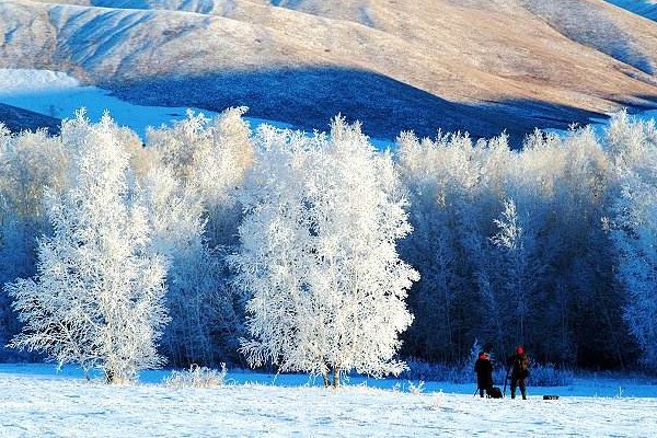 瑞雪兆丰年 表达了作者什么样的感情