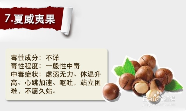 狗狗不能吃的15种食物
