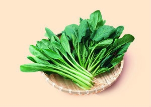 什么样的食物能够让你的孩子长高