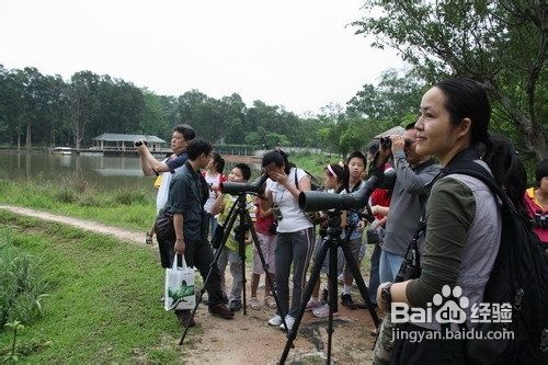 望远镜观鸟指南