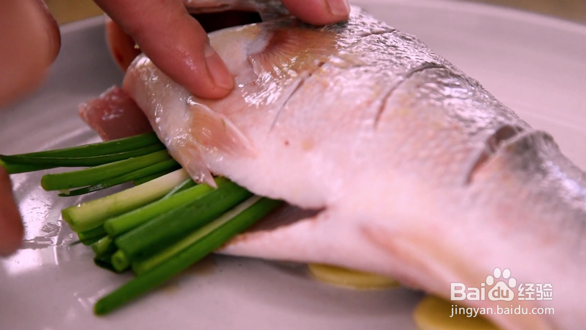 怎么做清蒸鲈鱼