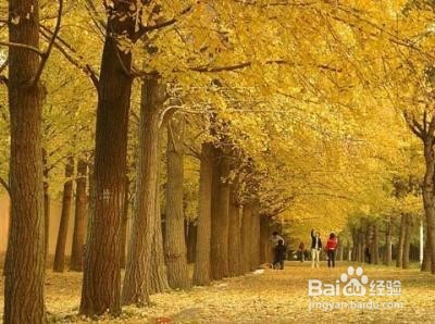 北京好看的拍摄地点，四个吧~以后再补