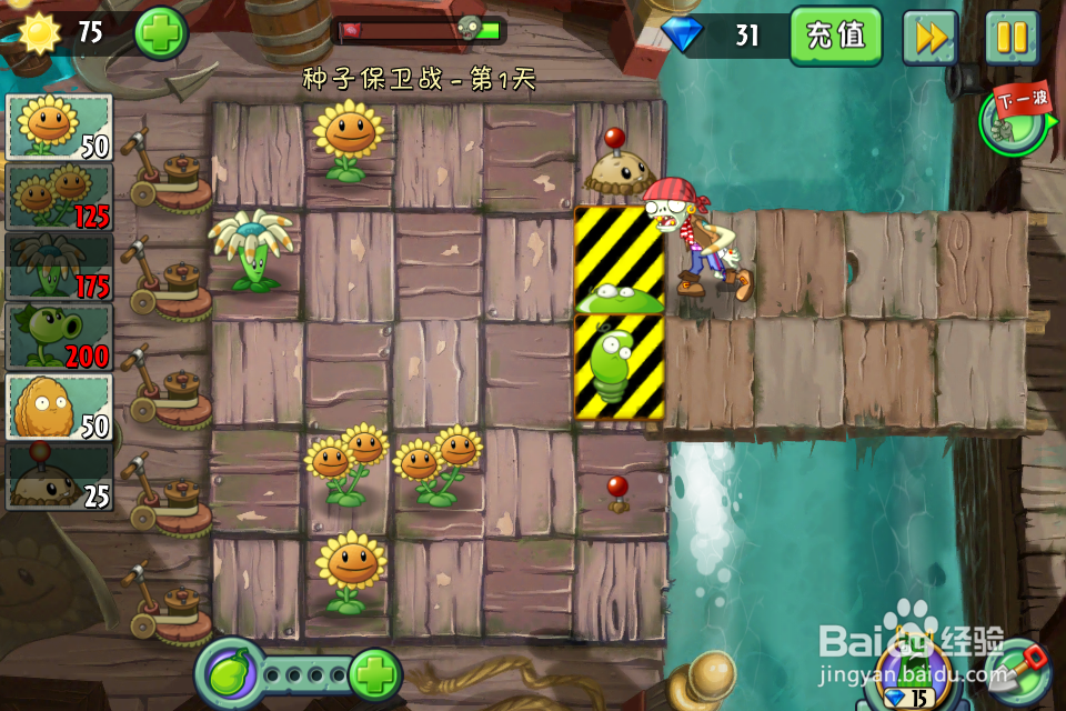 植物大战僵尸2:种子保卫战第1天(海盗港湾)