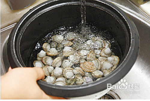 花蛤怎么洗？