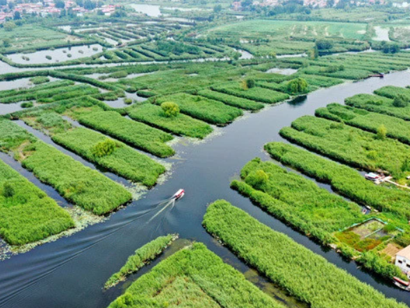 唯美惊艳的环境如何描写