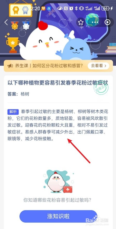 蚂蚁庄园:哪种植物更容易引发春季花粉过敏症状