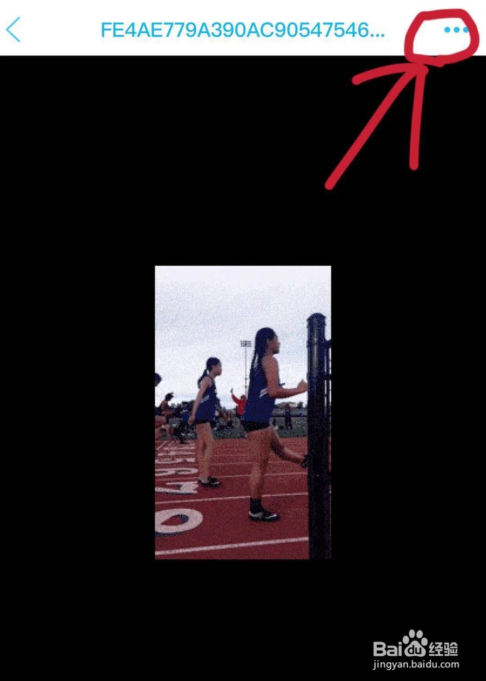 iPhone怎么保存gif图片