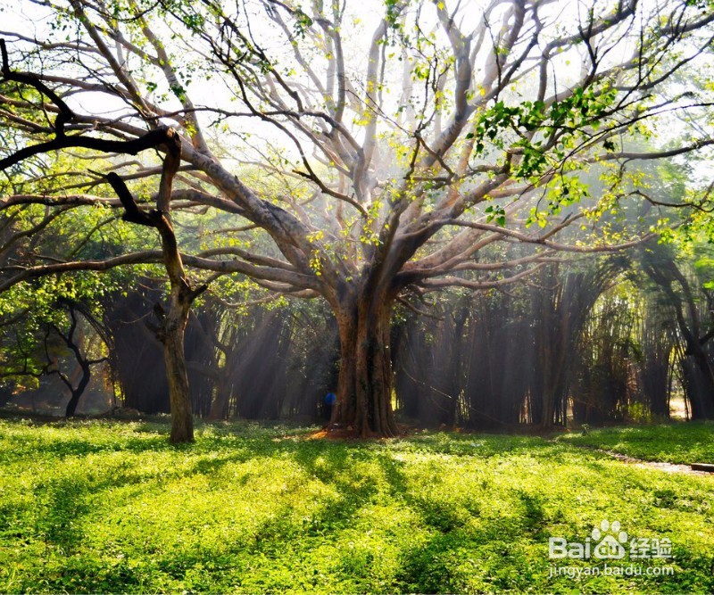 减压方式大放送
