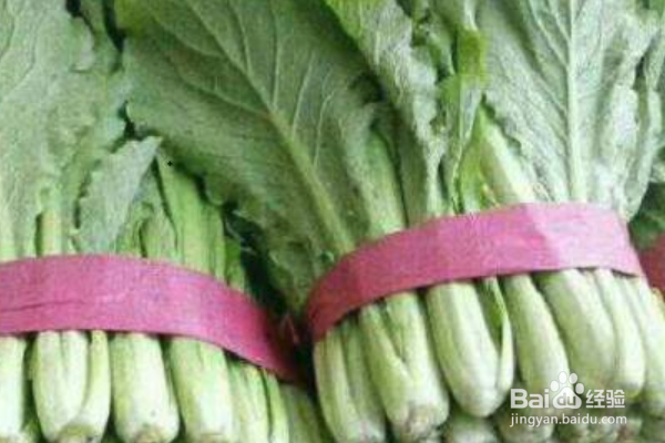 上海青怎么种植?