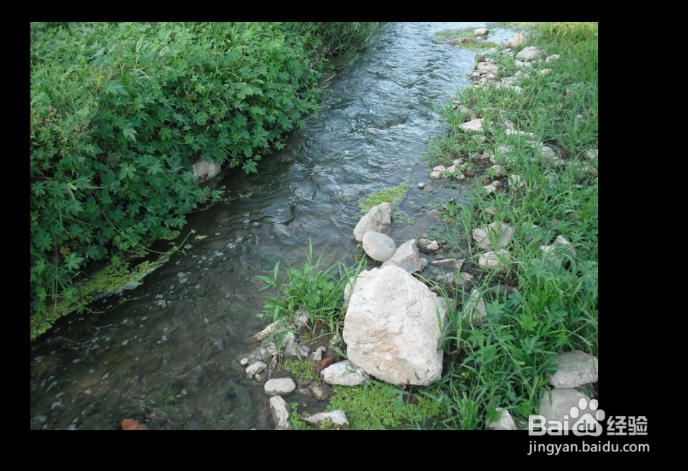 ps中如何用污点修复画笔清除不需要的影像