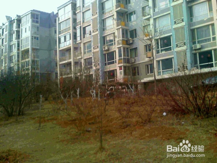 要保护植被就不要踩踏