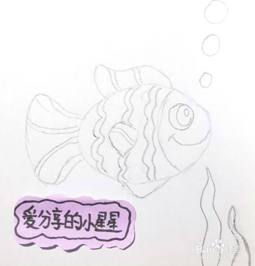 首先使用鉛筆勾畫出魚的樣子,添加水草和氣泡.