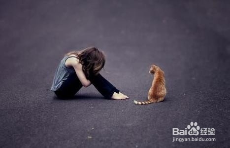 如何赢得真感情