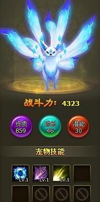 《醉西游》宠物打造