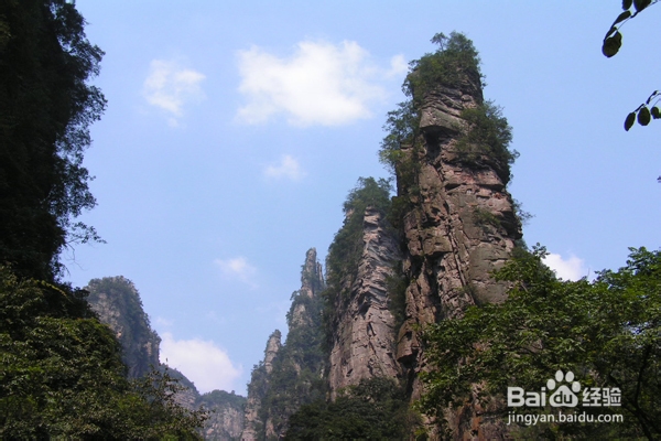 4天张家界自助游步行在大山深处