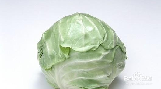 芹菜 圆白菜 10天可以让大腿瘦一圈