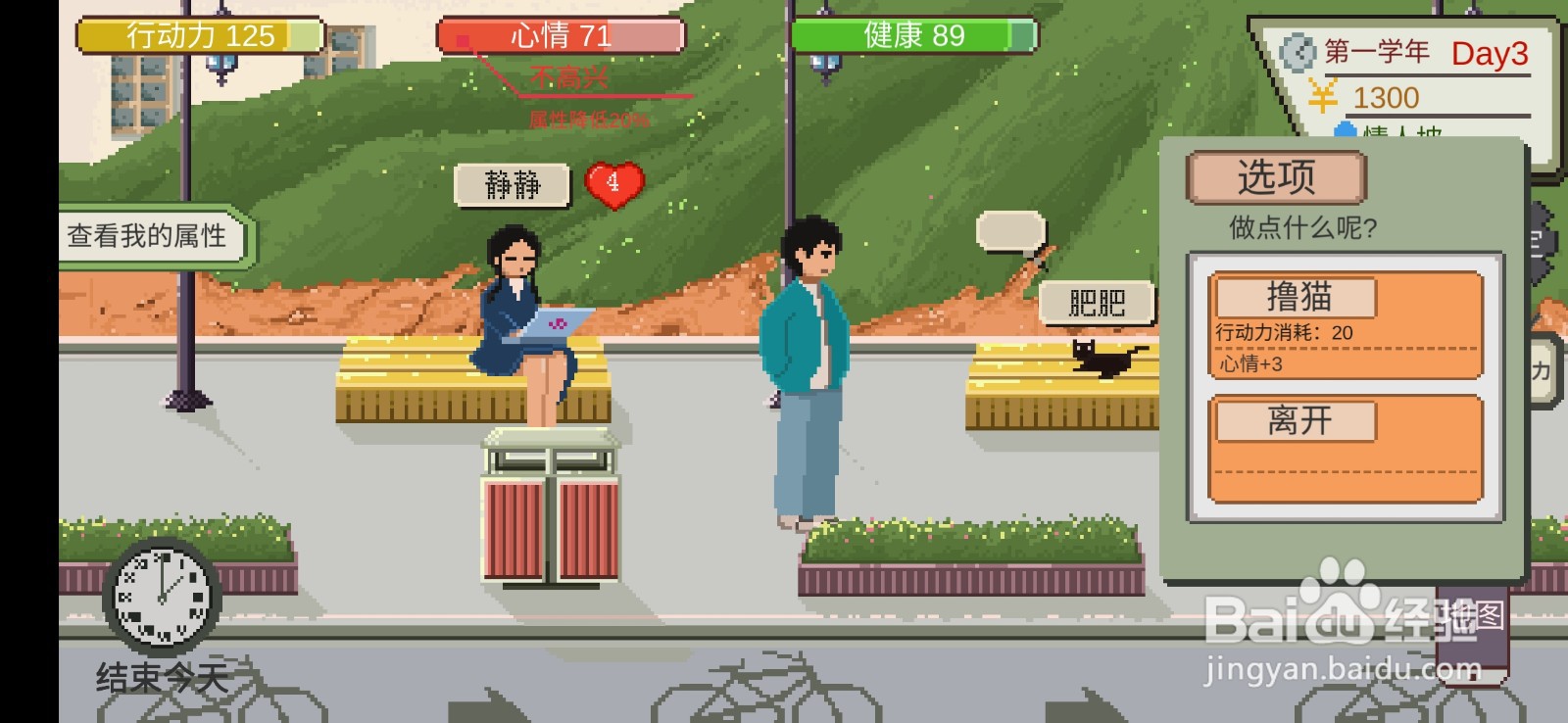 下一站大学如何撸猫
