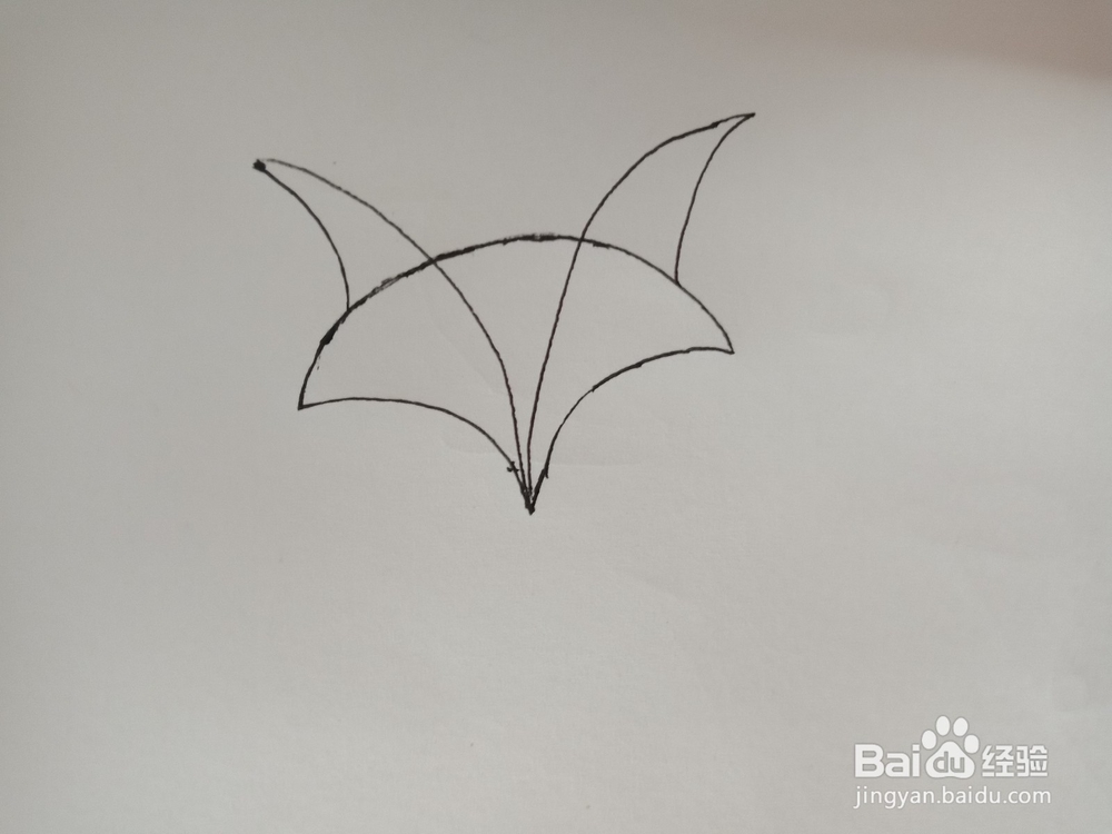 趣味画--扇形画狐狸