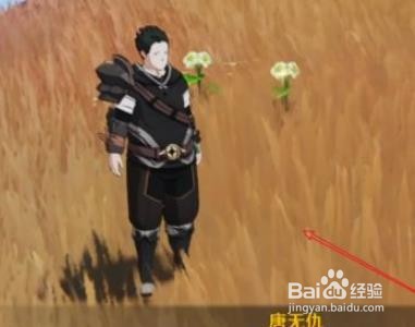 原神2.6远眺之花位置在哪